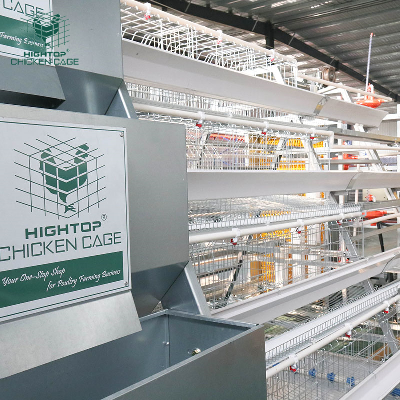 HIGHTOP Design Modern Poultry Farm House A Type Full Automatic Layer Chicken Cage In Kenya