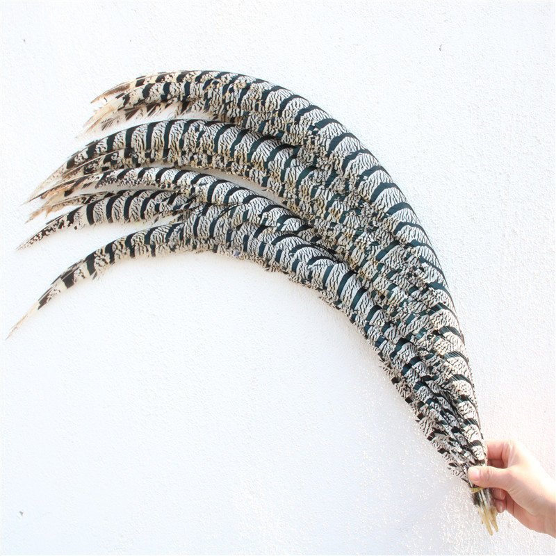 80-90 cm Natural Black And White Zebra Pheasant Feather for Sale