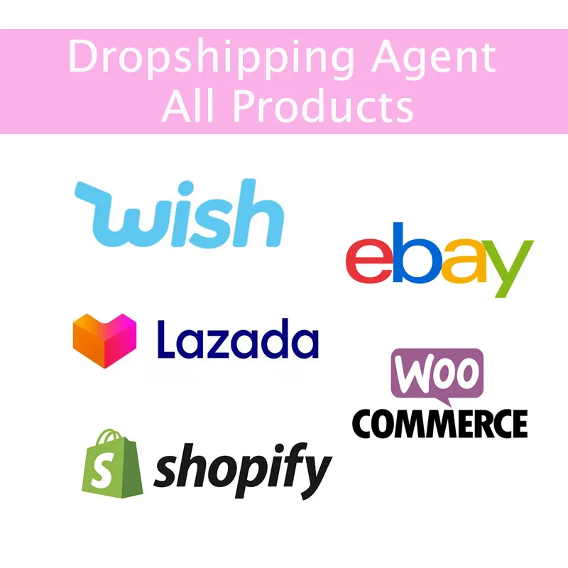 Excellent Quality Dropshipping Agent Reasonable Price Dropshipping Suppliers Shopify Best Products To Dropship