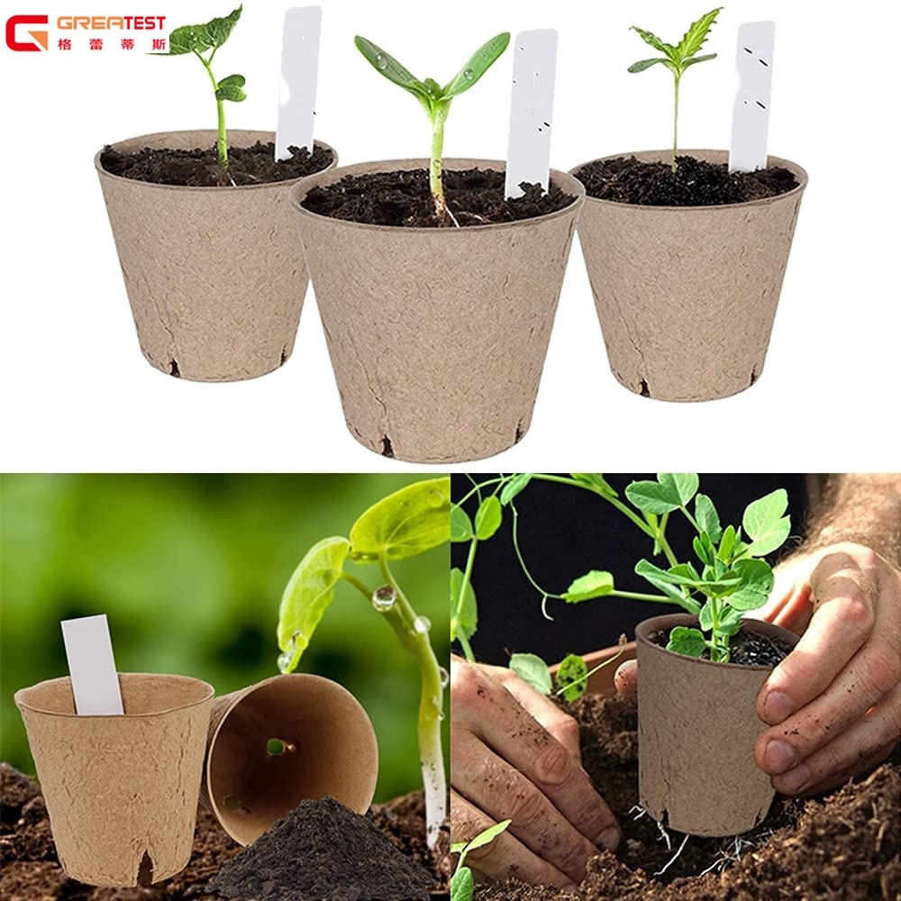 50Pcs Biodegradable Peat Pots for Seedlings with Drainage Holes