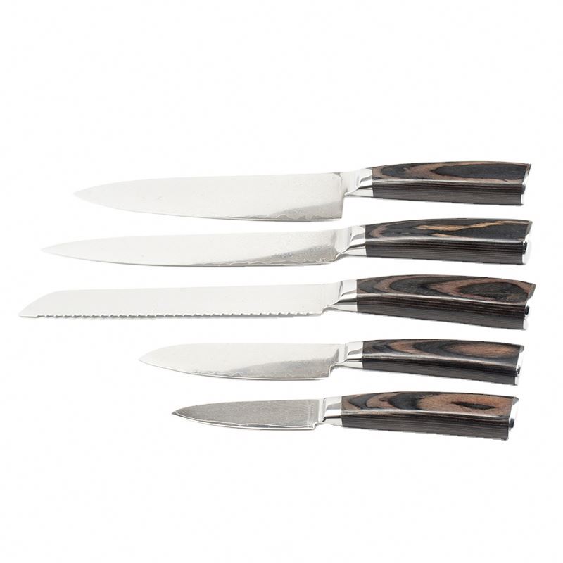 5pcs High Quality 67 layer Damascus steel kitchen household kitchen chef knife