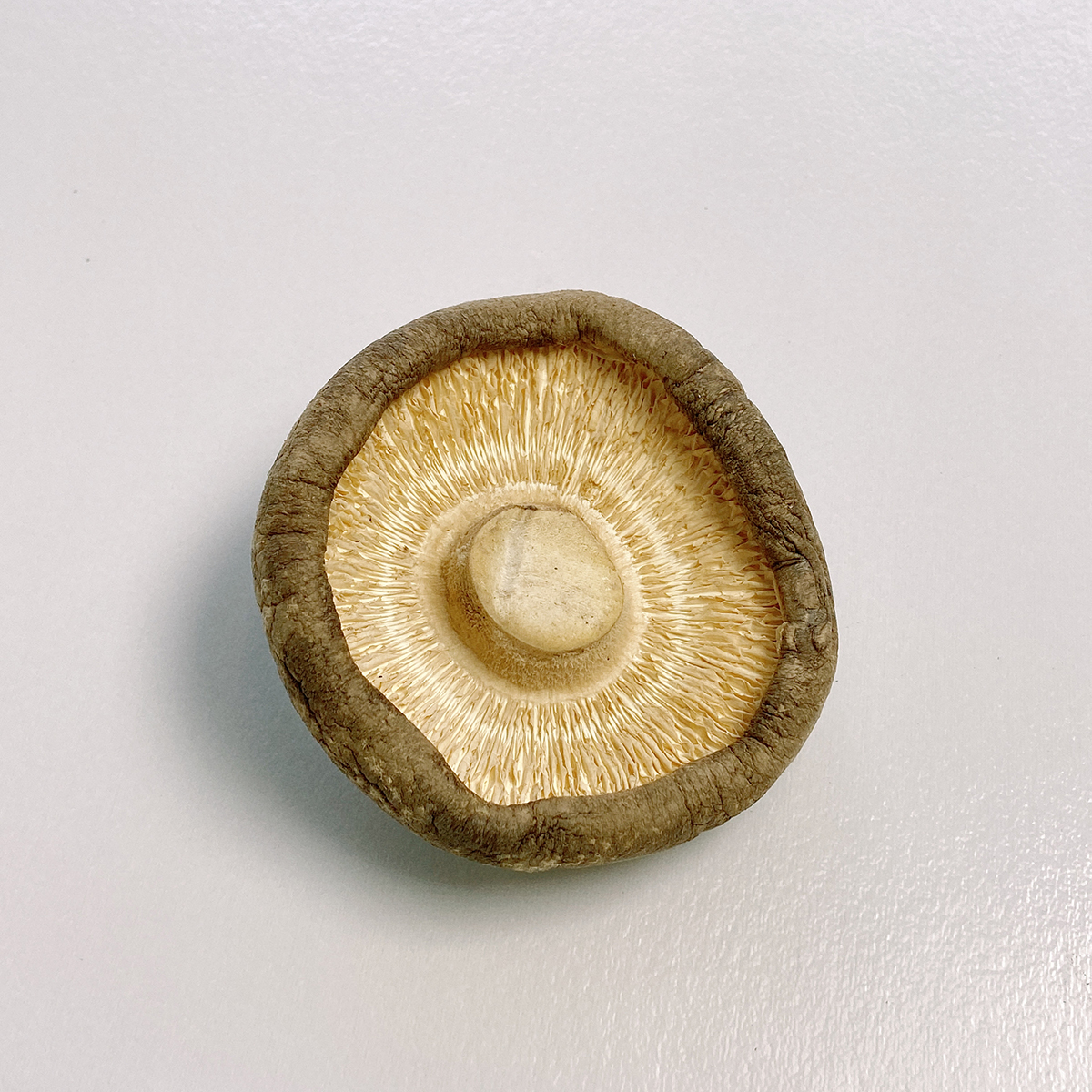 Specially Tasty Solidus Patterned Packing Dried Shiitake Mushroom For Soup