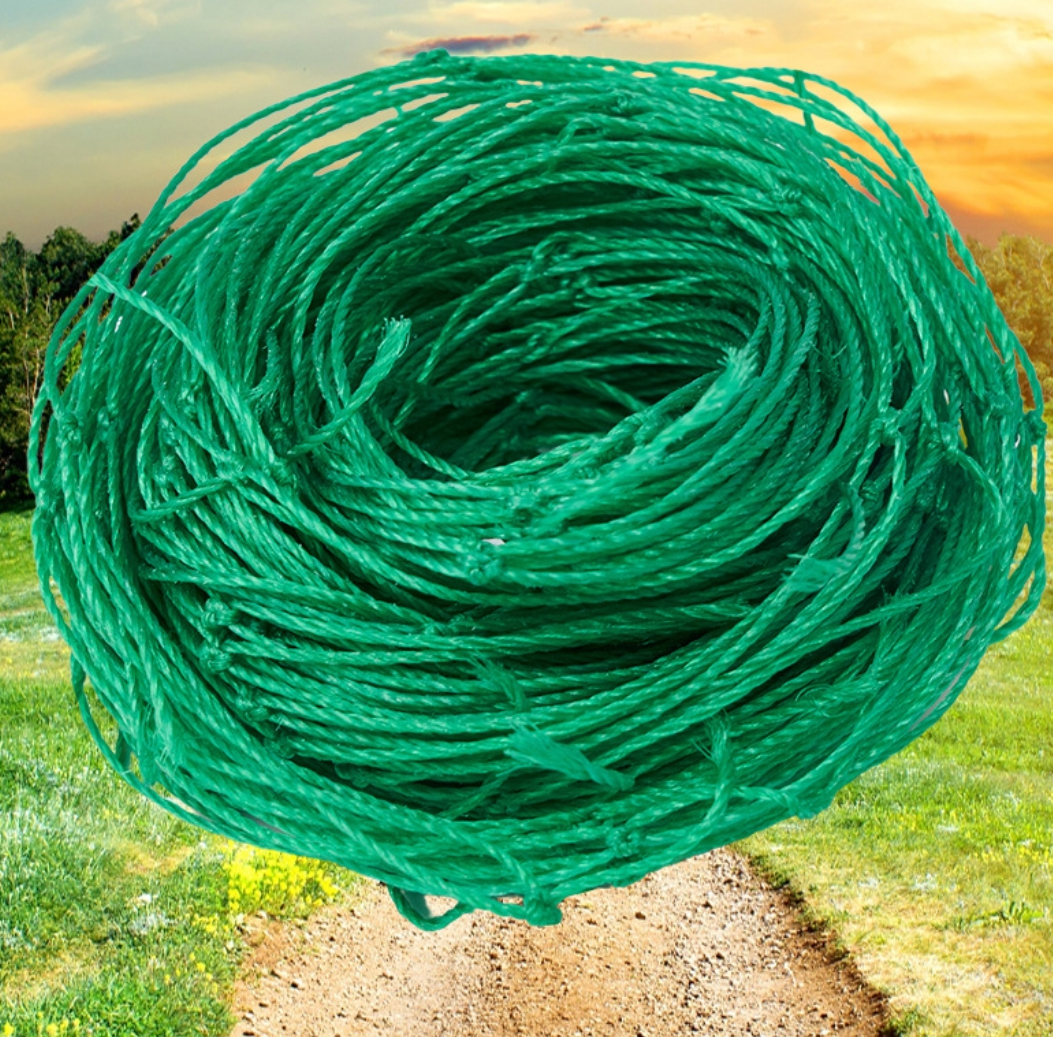 growing fruits and vegetables Green plant gardening climbing net