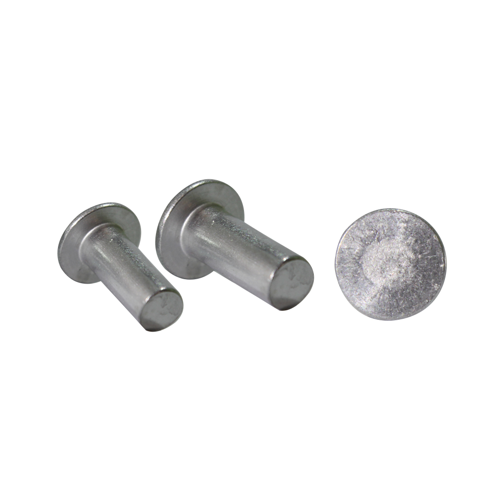 Non-standard Stainless Steel solid rivet Aluminium Copper Flat Head Round Head Solid Rivets