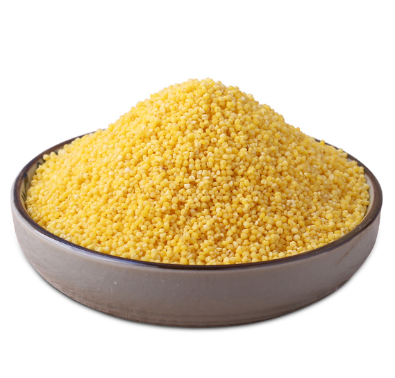 High quality hulled glutinous yellow millet foxtail millet broomcorn millet