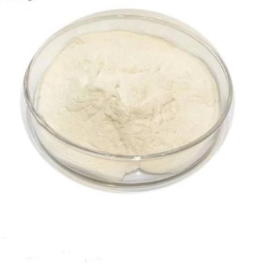 Китайский производитель, 10 миллиардов Cfu, пищевой пробиотик в порошке Lactobacillus Plantarum
