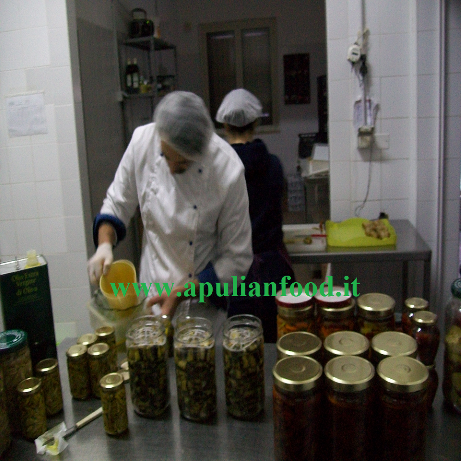 Italian Grilled Eggplants High Quality Italian Food For Cooking And Dressing Top Quality Fruit & Vegetable products