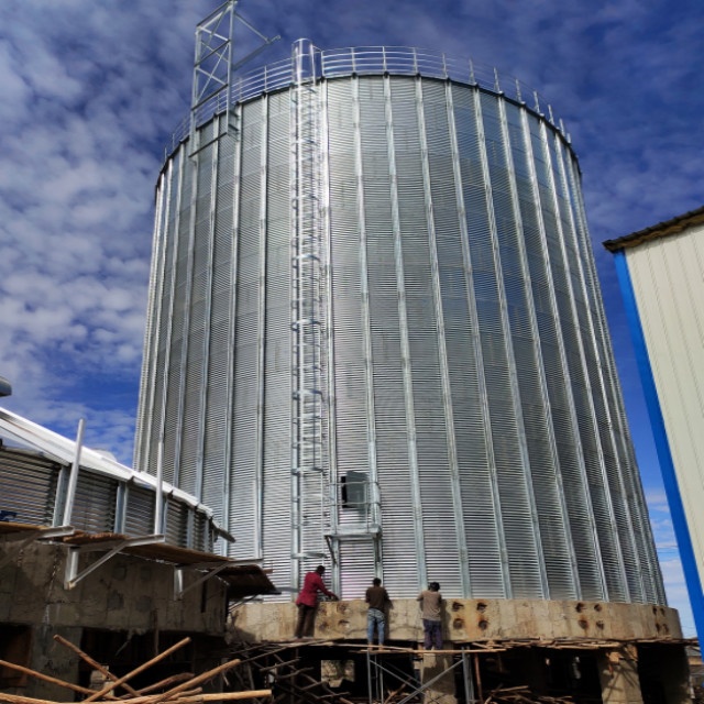 12500t оцинкованный стальной силос для зерна с плоским дном силоса