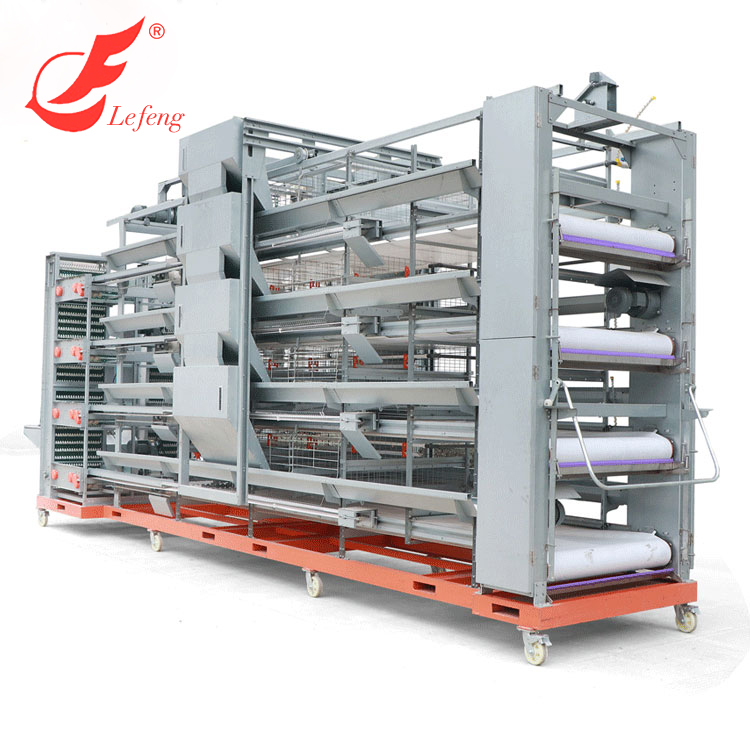 Automatic Egg Layer Chicken house Automatic Galvanized Battery Egg Chicken Cage