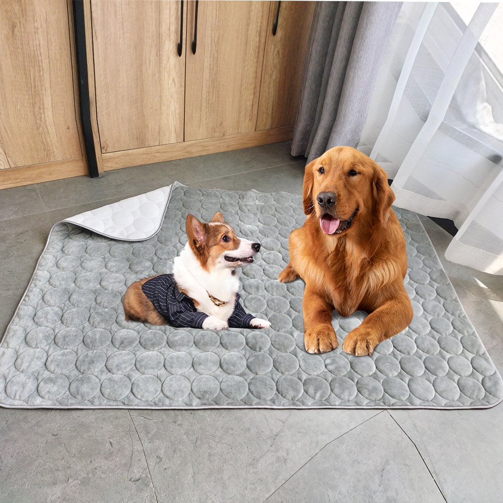 Factory direct sale reusable washable dog mat pet puppy training pet mat