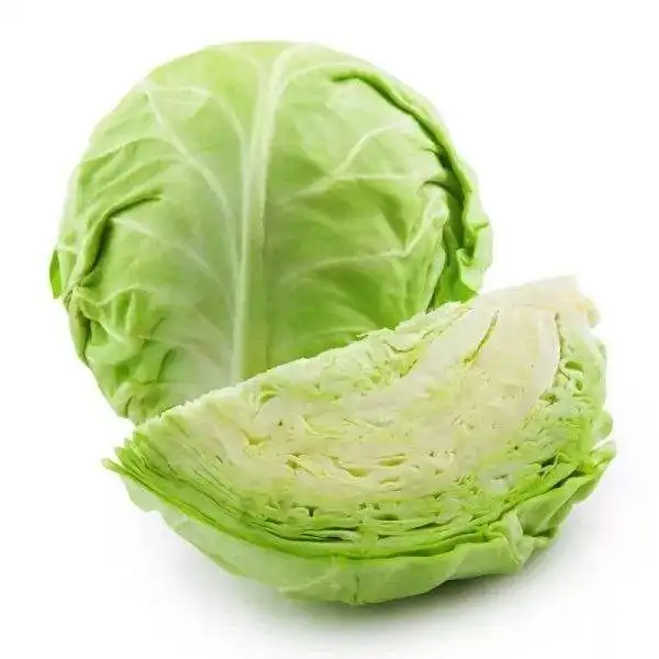 Cheap Price Fresh Green Cabbage from Shandong China