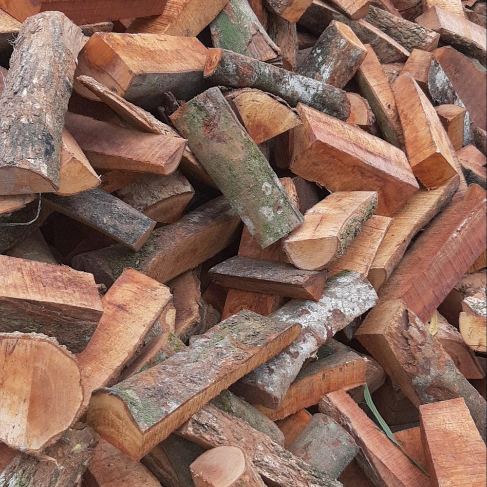LOGAN-KAYA-ACACIA дерево высокого качества из вьетнама для экспорта