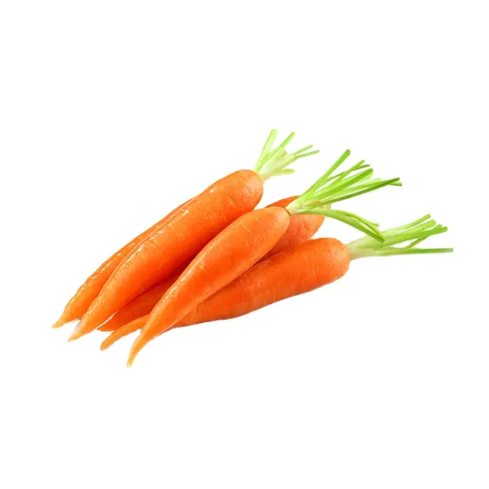 High Quality Natural Products Wholesale Vegetables Fresh Carrots Organic Carrot
