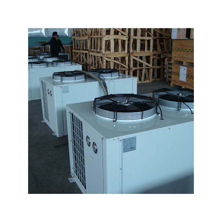 Hot selling temperature condensing units fruits and vegetables cold room unit bitzer-condenser