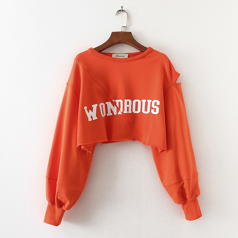 wholesale custom long sleeve sweatshirts hoody pullover women crop top hoodies