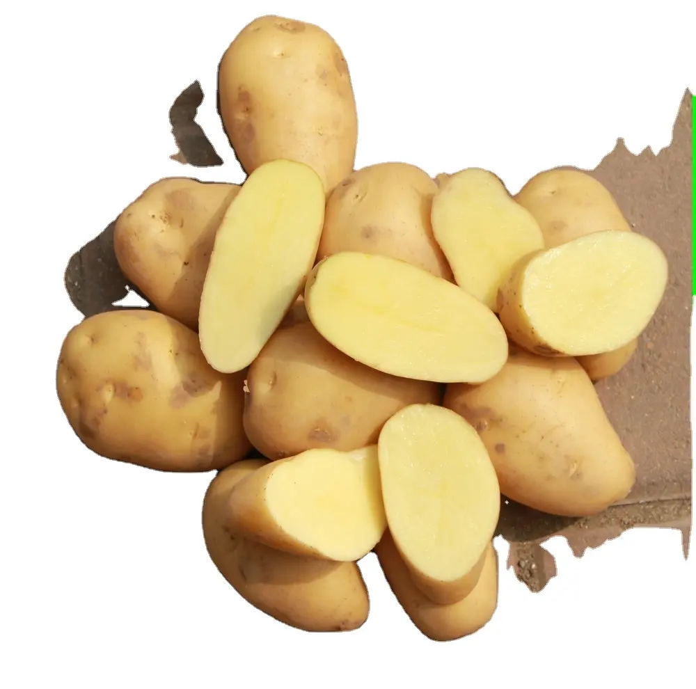 World Price Of Potato Export To Dubai/Malaysia/UK