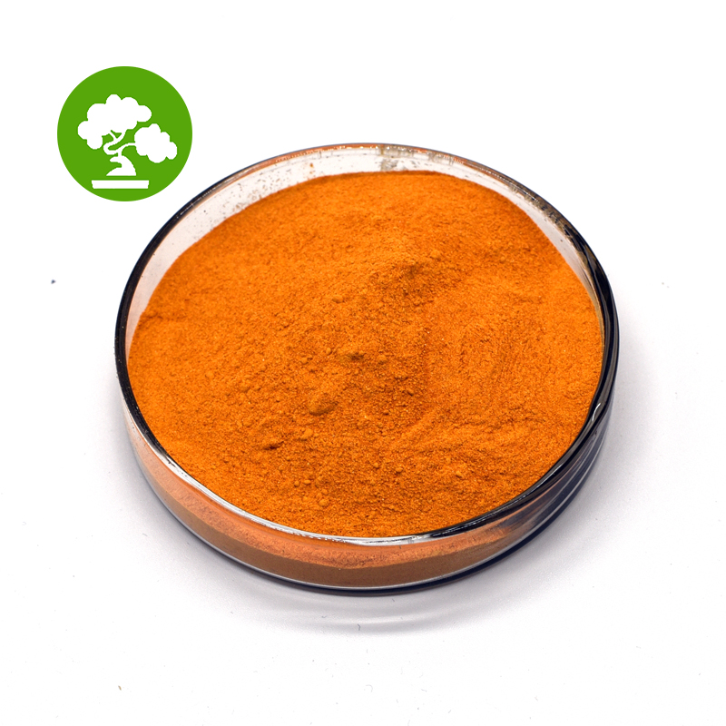 High In Nutritional Value Curcumin Powder Turmeric Extract Curcumin Powder 95%