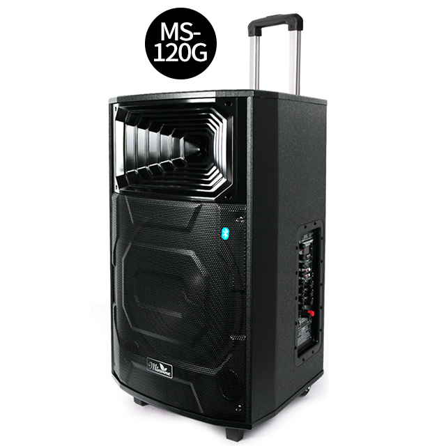 Minsine Compact Street профессиональный усилитель динамик-40 Вт 80 Вт 120 Вт amp