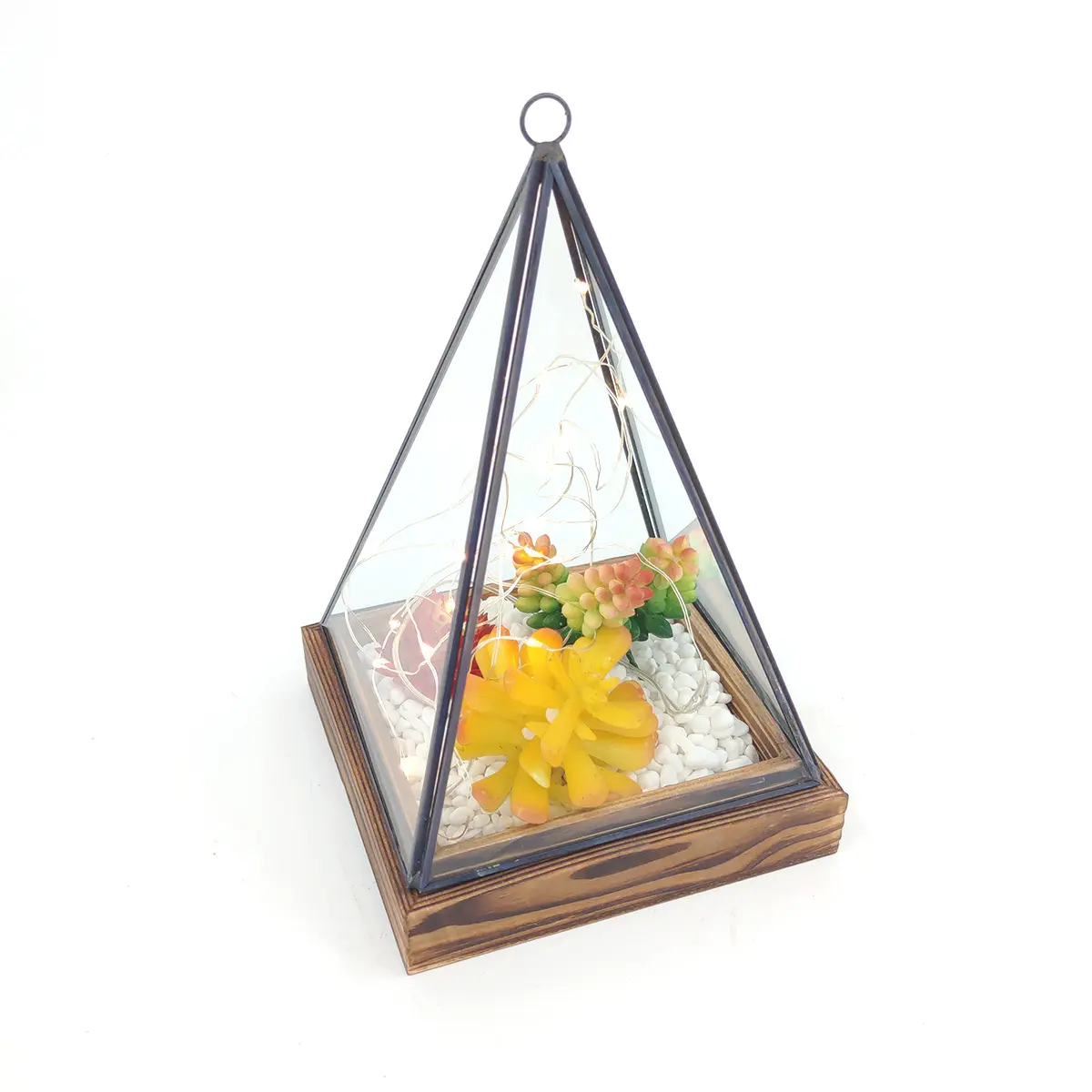 Indoor Black Geometric Hanging Glass Flower Succulents Plants Terrarium Jar Wood Base For Sale