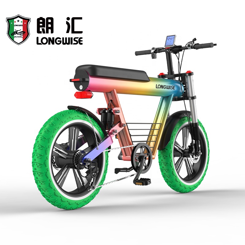 Longwise long range city electric city bike 1000w 800w super fast 60V20AH E bike Hot selling electric mountain bike bicycle