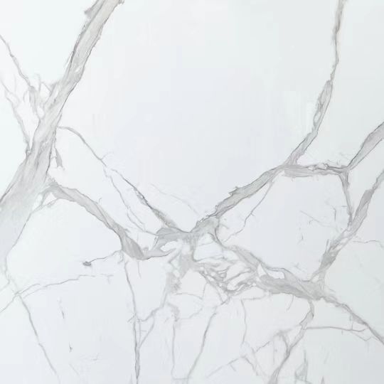 Modern Design Calacatta Dolomite Marble Slab Polished White Marble Table Hotel Villa