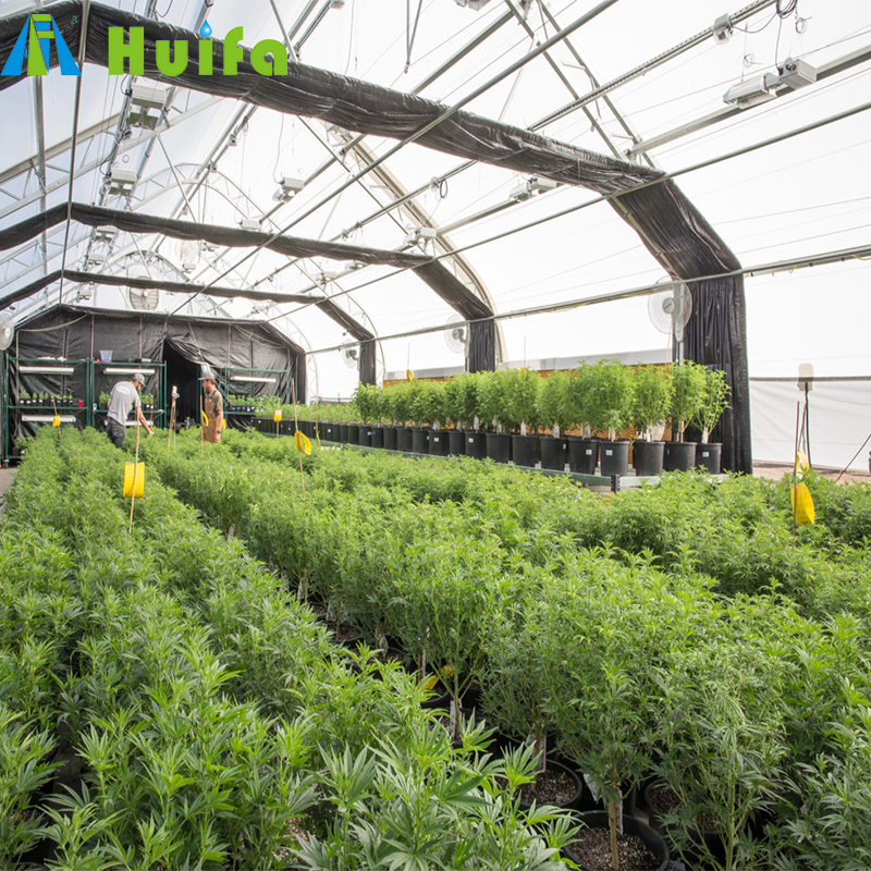 Most favorable price black out auto light dep greenhouse
