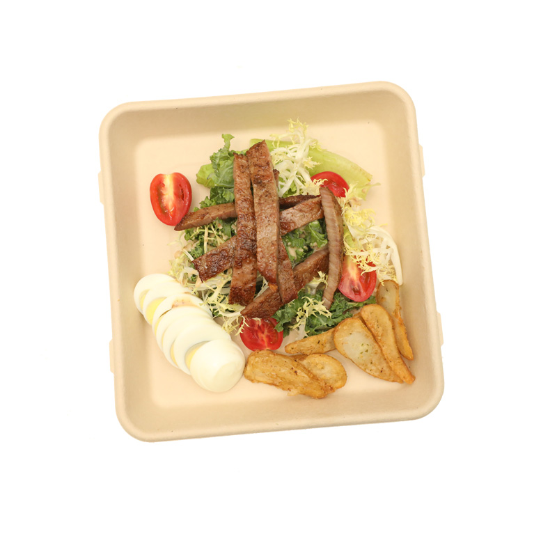 Food Grade 100% Biodegradable Bamboo Pulp Food Containers Disposable Food Trays With Lids