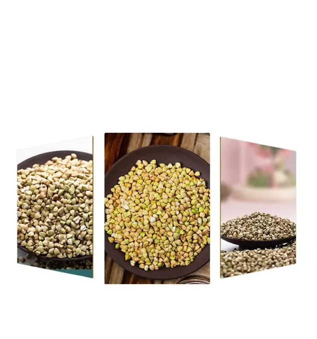 Buckwheat organic wholesale price healthy tartary buckwheat tea food roasted  buckwheat grain seed