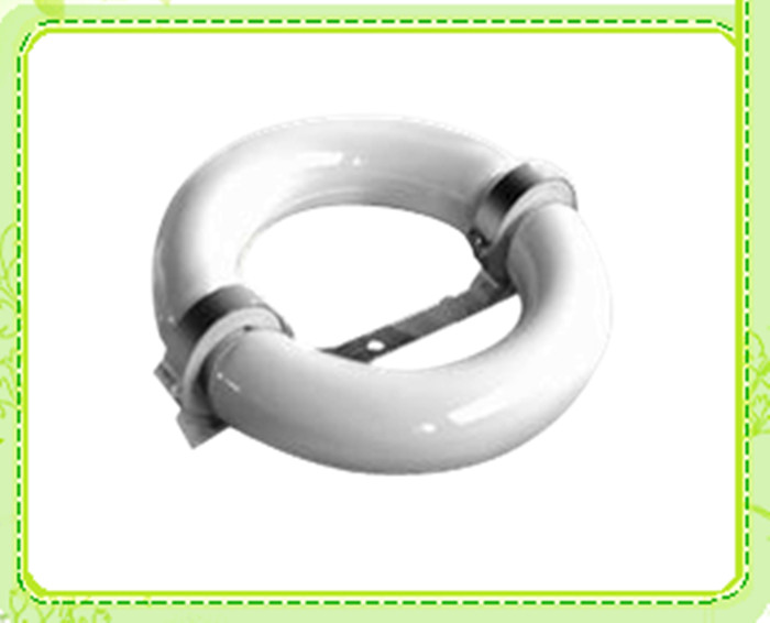 Price Induction Lamps Induction Circular Light Electromagnetic Induction Lamp