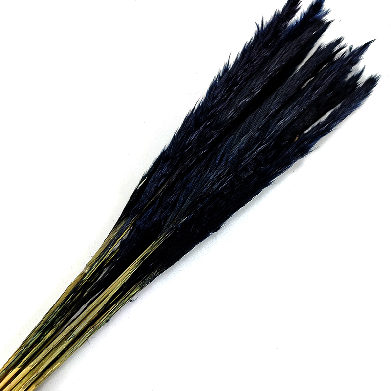 Free Sample Ins Most Popular Decoration Dried Flowers Pampas Grass Black Pampas For Weddings Decoration