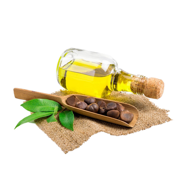 Camellia seed oil for skin care promotional camellia oleifera seed oil camellia japonica seed oil