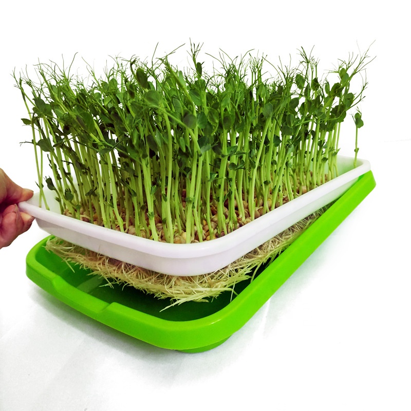 Flower seeds garden planter seedling nursery tray for nursery hydroponic seedling tray