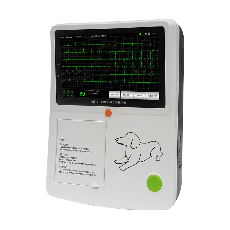 Portable Veterinary Electrocardiogram ECG  Machine 12 lead for dog/cat clinic hospital