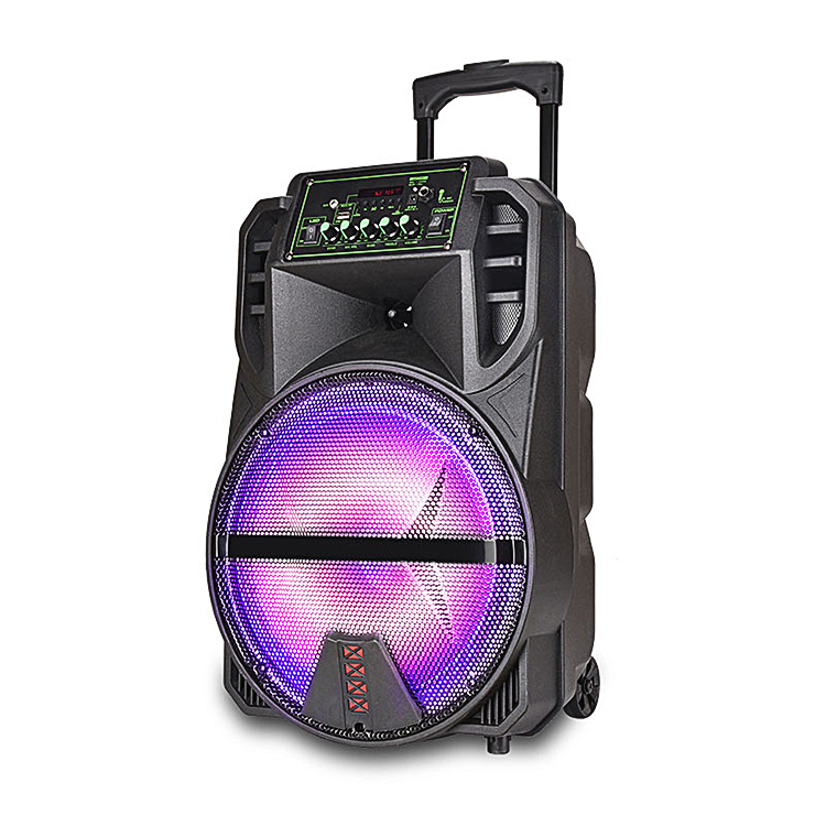 12inch dj outdoor sound system portable speaker rechargeable karaoke trolley speaker