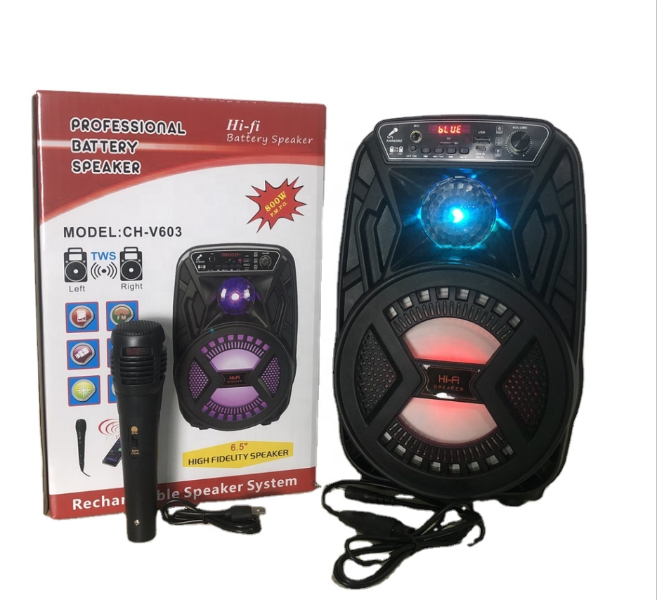 Factory TWS Speaker LED portable Column Trolley speaker with Microphone Wireless Outdoor Karaoke speaker