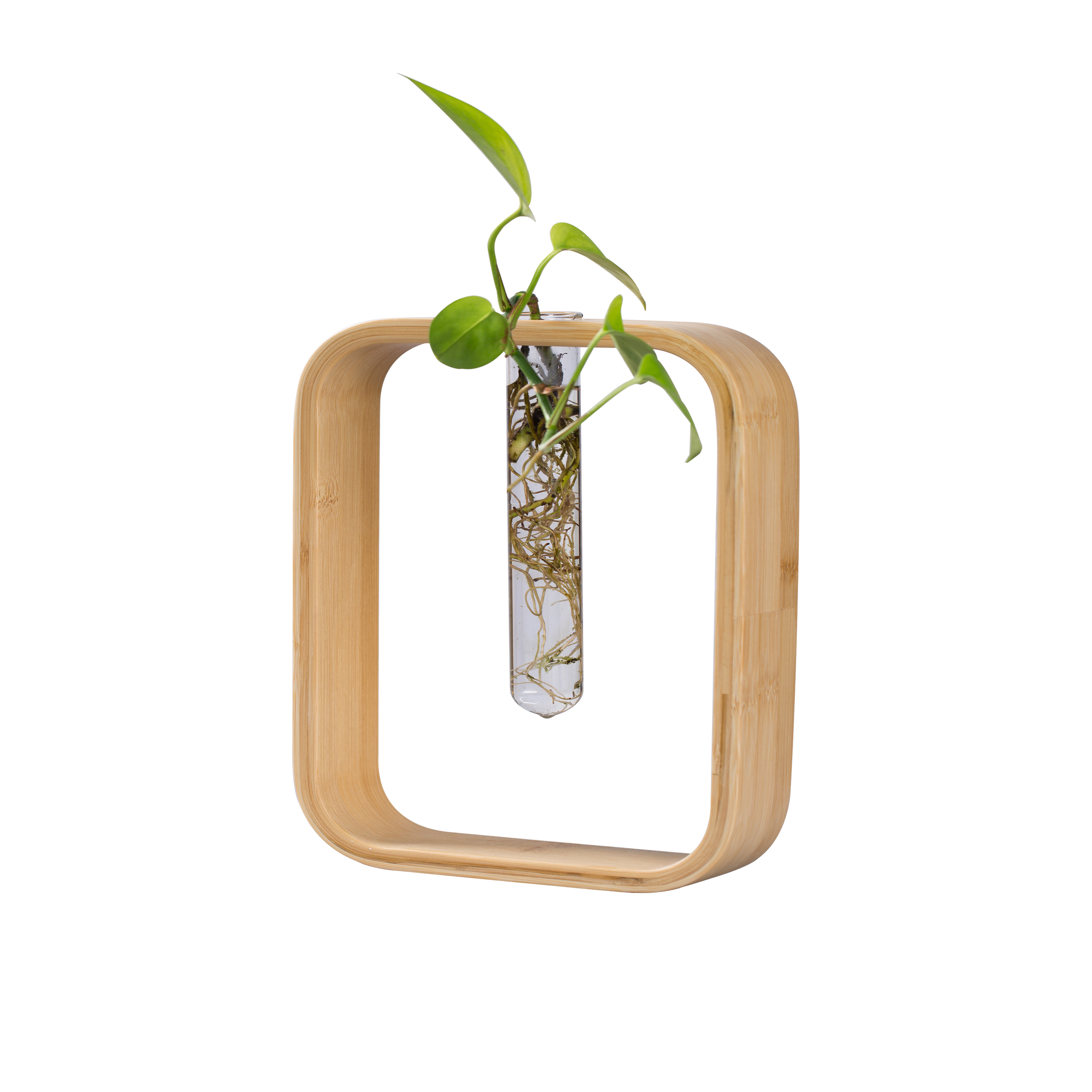 Tabletop bamboo Wooden Stand with 1Tube Perfect for Propagating Hydroponic Plants Home Garden Wedding Decoration