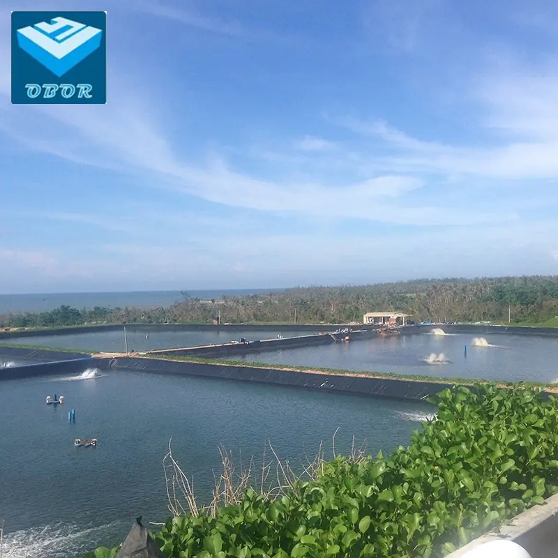 factory directly dam pond liner price hdpe geomembrane