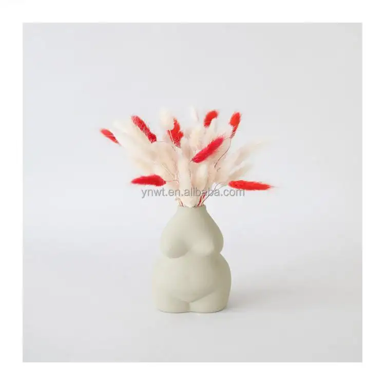2021 hot sale factory supply white and pink bunny tails for flower arrangement