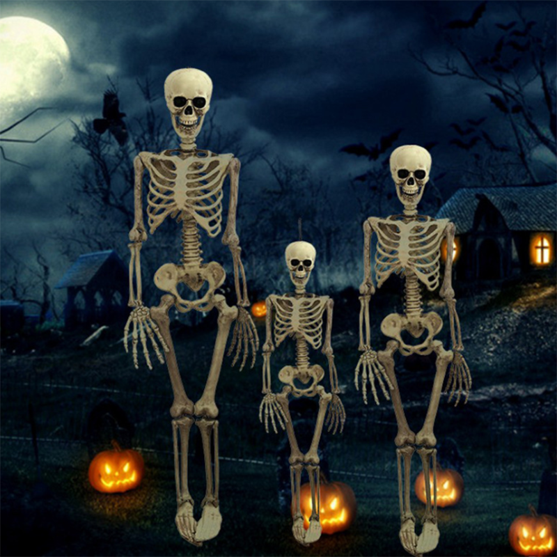 2023 New High Quality 165 cm 5 Feet ft 3d Skeletal Bone Real Life Size Adult Human Full Body Man Bones Skull Halloween Skeleton
