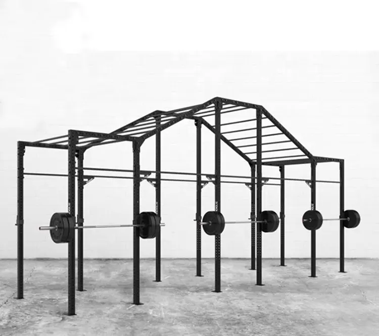 Gym equipment customized crossfit Monkey Rigs / monster lite rig