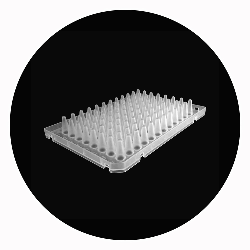 Высококачественная Низкопрофильная пластина 0,1 мл PCR с 96 колодцами, совместимая с ABI PCR в реальном времени