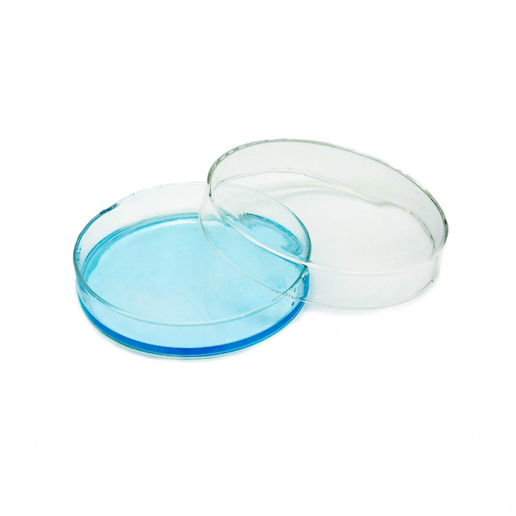 Lab 60mm Glass Petri Dish Generic Quality Assurance Chinese Suppliers