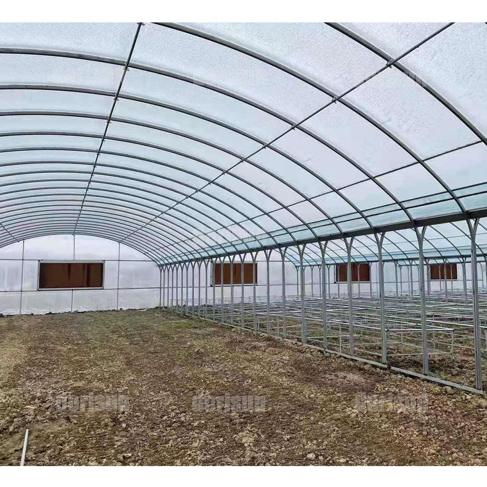 Galvanized Steel Frame Single Span Pe Film Greenhouse For Agriculture Low Cost Tunnel Greenhouse For Flowers Plant