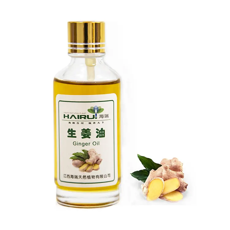 Hot Sale pure plant body massage ginger Oil essential oil soothing body SPA and pain relief essential oil