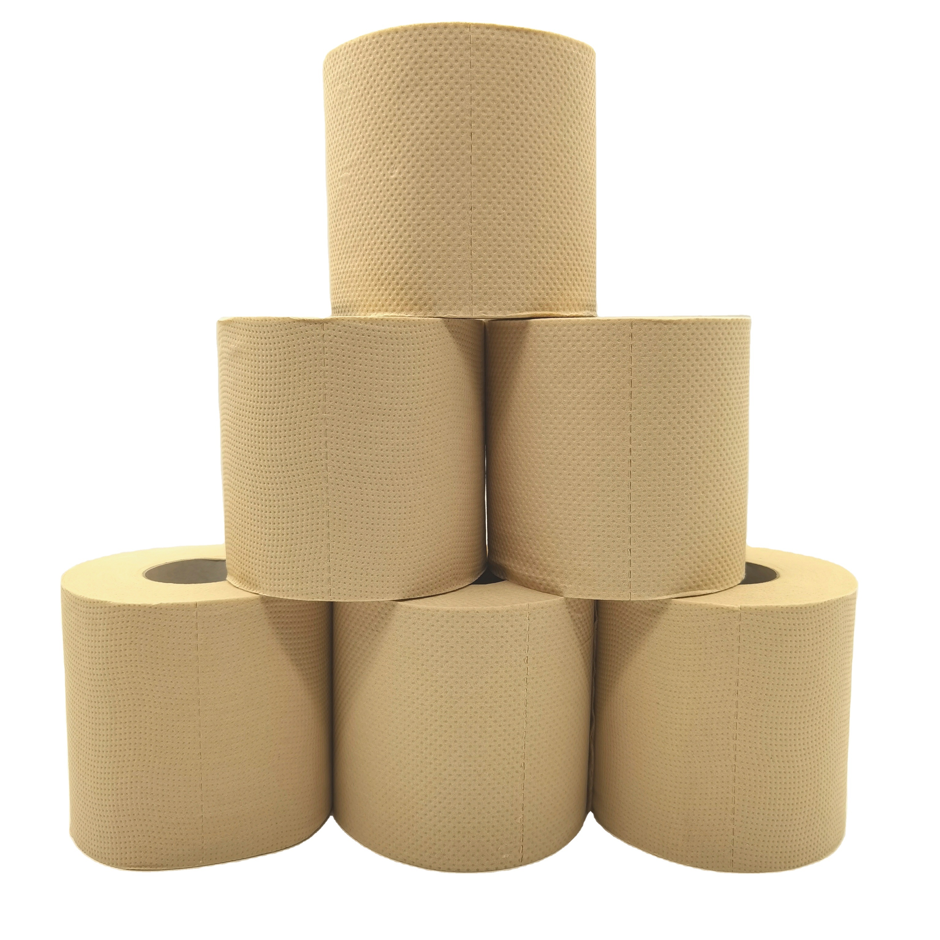 2021 Biodegradable Toilet Paper Roll wrapped in OEM paper wrapper Toilet Paper