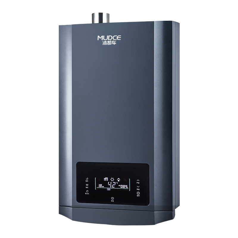 calentador de agua instantaneo a gas16L forced-exhaust household portable instant hot shower bath gas water heaters