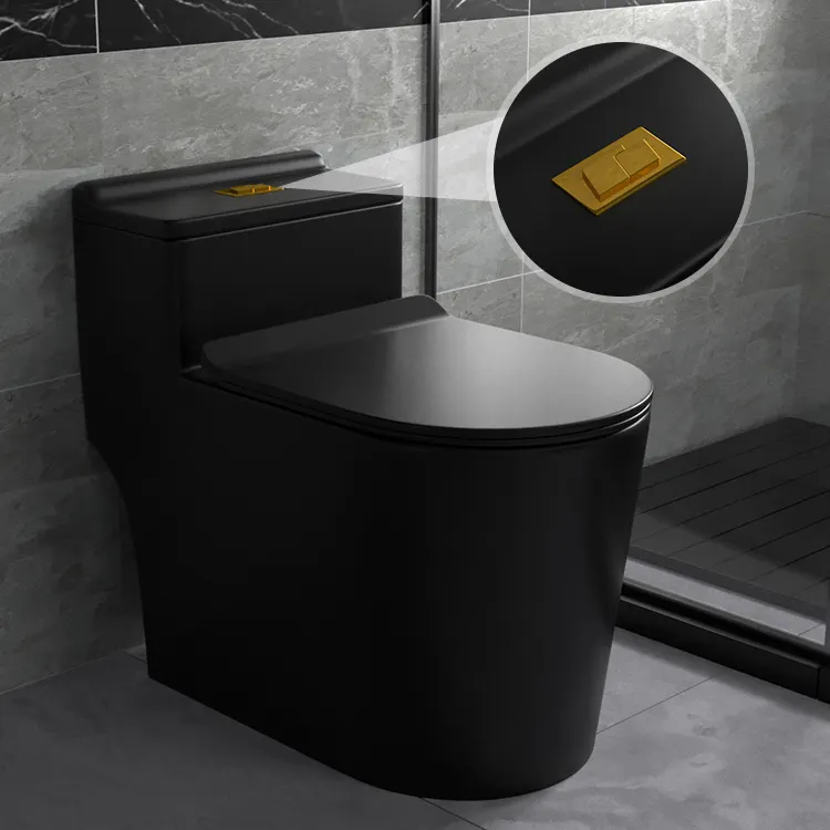 High Quality Sanitary Ware Ceramic Floor Mounted 1 Piece Inodoro Matte Black Wc Toilet Bowl