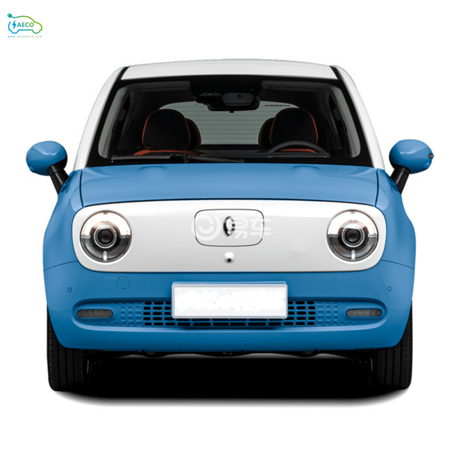 China Factory Price Luxury Electric Car New Suv Cars For Family Use