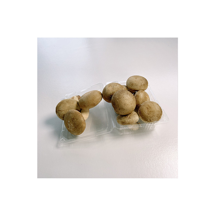 Hot Sale Factory Price Selected Good Fresh Shiitake Mushroom