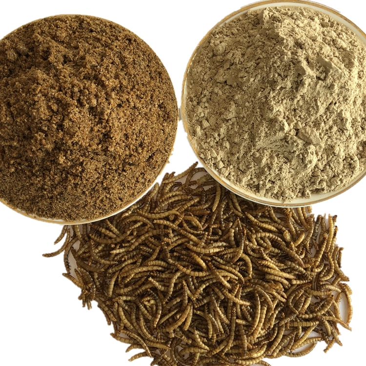 Высоким содержанием белка Сушеные mealworm порошок для ПЭТ RSS здоровья роста